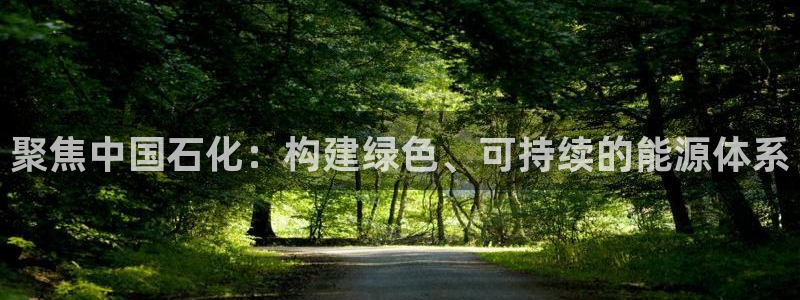 球盟会官方下载：聚焦中国石化：构建绿色、可持续的能源体系