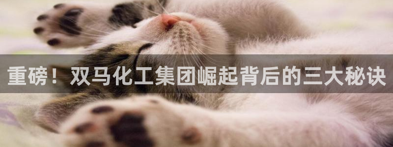 球盟会里面有打牌的嘛