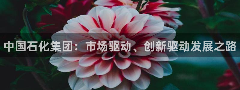 球盟会综合app下载：中国石化集团：市场驱动、创新驱动发展之