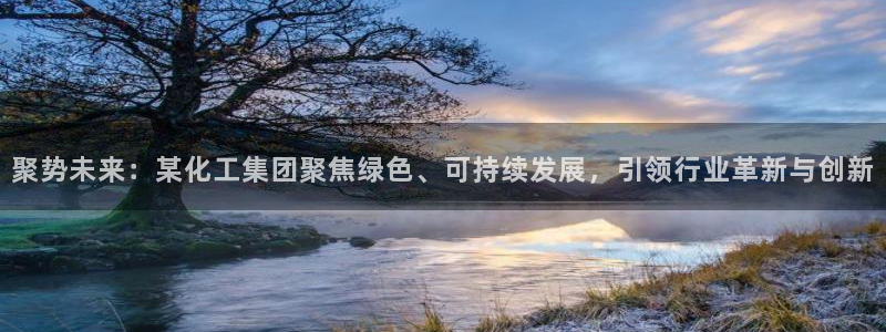 球盟会网页版：聚势未来：某化工集团聚焦绿色、可持续发展，引领