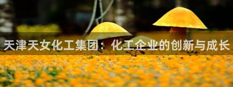 球盟会黑款吗是真的吗：天津天女化工集团：化工企业的创新与成长