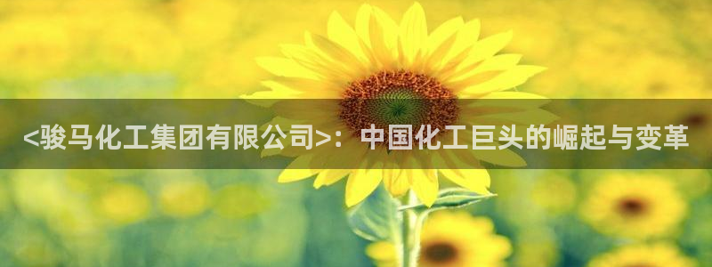 球盟会可以提现么现在