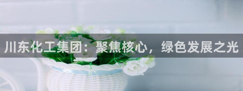 球盟会登陆：川东化工集团：聚焦核心，绿色发展之光