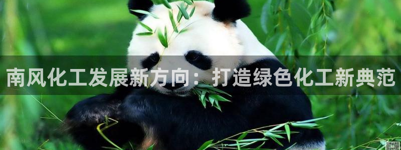 球盟会优惠券：南风化工发展新方向：打造绿
