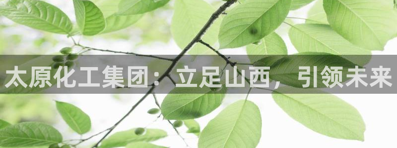 球盟会官方登录平台入口