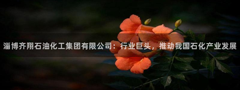 球盟会官网登录入口