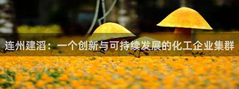 球盟会网页登录app下载地址