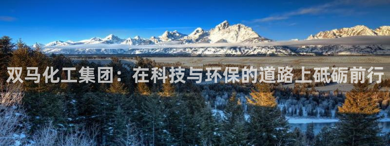 球盟会体育app官方网站