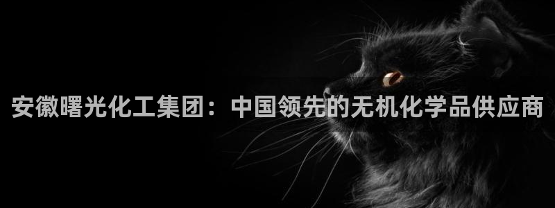 球盟会下载最新版：安徽曙光化工集团：中国领先的无机化学品供应