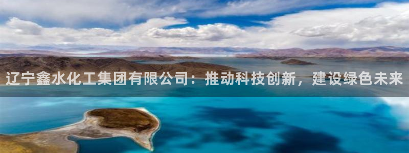 球盟会下款快吗：辽宁鑫水化工集团有限公司：推动科技创新，建设