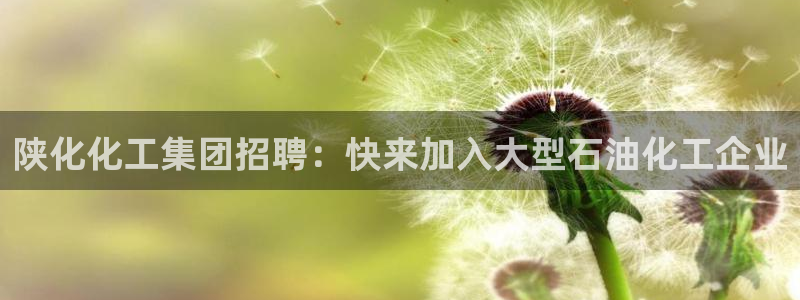 球盟会下载最新版