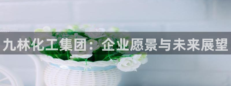 球盟会qmh登录地址：九林化工集团：企业愿景与未来展望