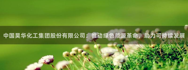 球盟会最新活动