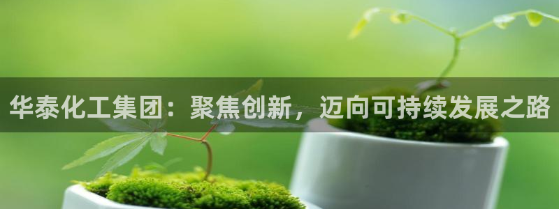 球盟会官方平台入口：华泰化工集团：聚焦创