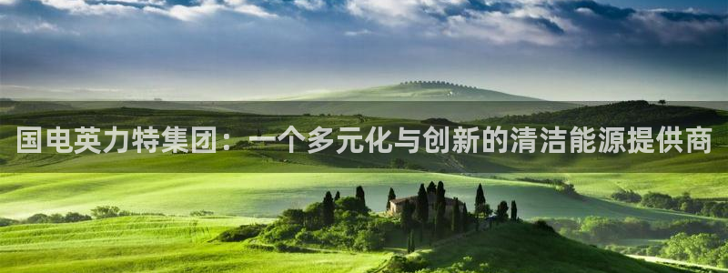 球盟会app最新地址下载：国电英力特集团