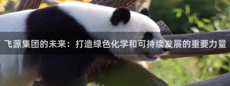 球盟会能提现吗：飞源集团的未来：打造绿色化学和可持续发展的重