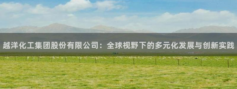 球盟会app最新地址在哪看：越洋化工集团股份有限公司：全球视