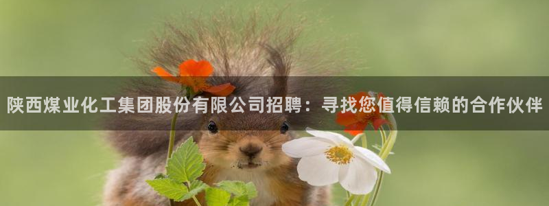球盟会登录平台：陕西煤业化工集团股份有限公司招聘：寻找您值得