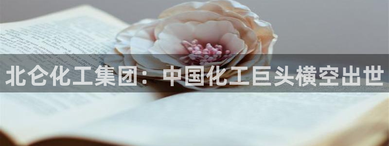 球盟会能提现吗安全吗