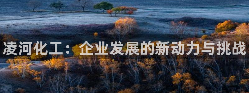 球盟会登陆中心：凌河化工：企业发展的新动