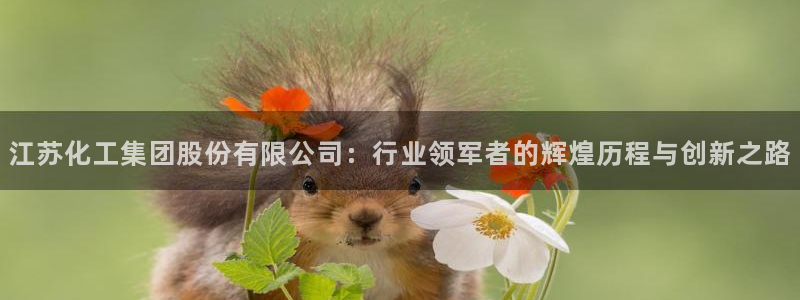 球盟会几点玩合适：江苏化工集团股份有限公