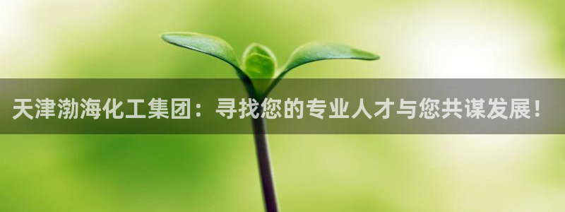 球盟会优惠领取网站：天津渤海化工集团：寻