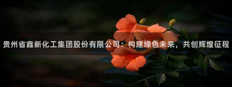 球盟会可以提现么现在：贵州省鑫新化工集团