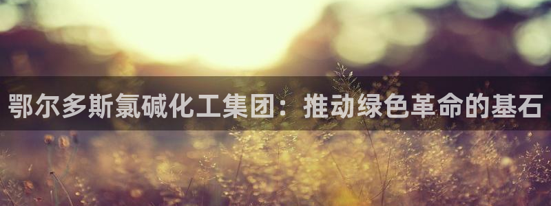 球盟会app最新地址下载：鄂尔多斯氯碱化工集团：推动绿色革命