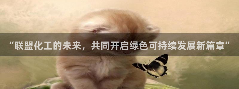 球盟会最新网：“联盟化工的未来，共同开启
