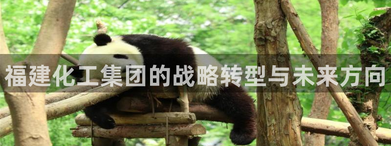 球盟会网页版登陆