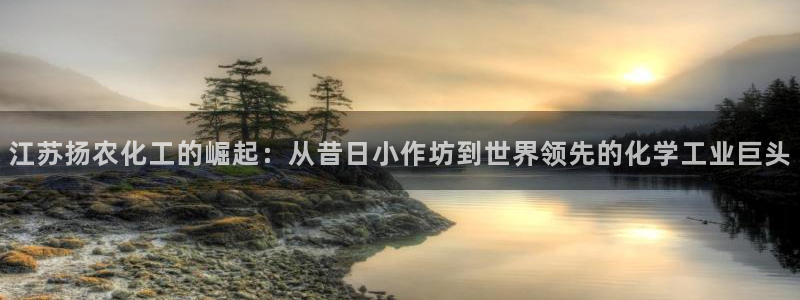 球盟会网页登录入口
