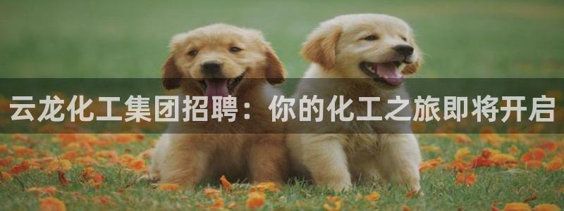 球盟会qmh电子网页版登录