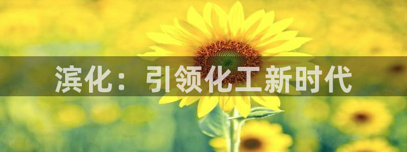 球盟会官方网址入口：滨化：引领化工新时代