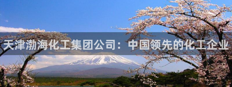 球盟会头号玩家：天津渤海化工集团公司：中